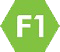 f1-icon